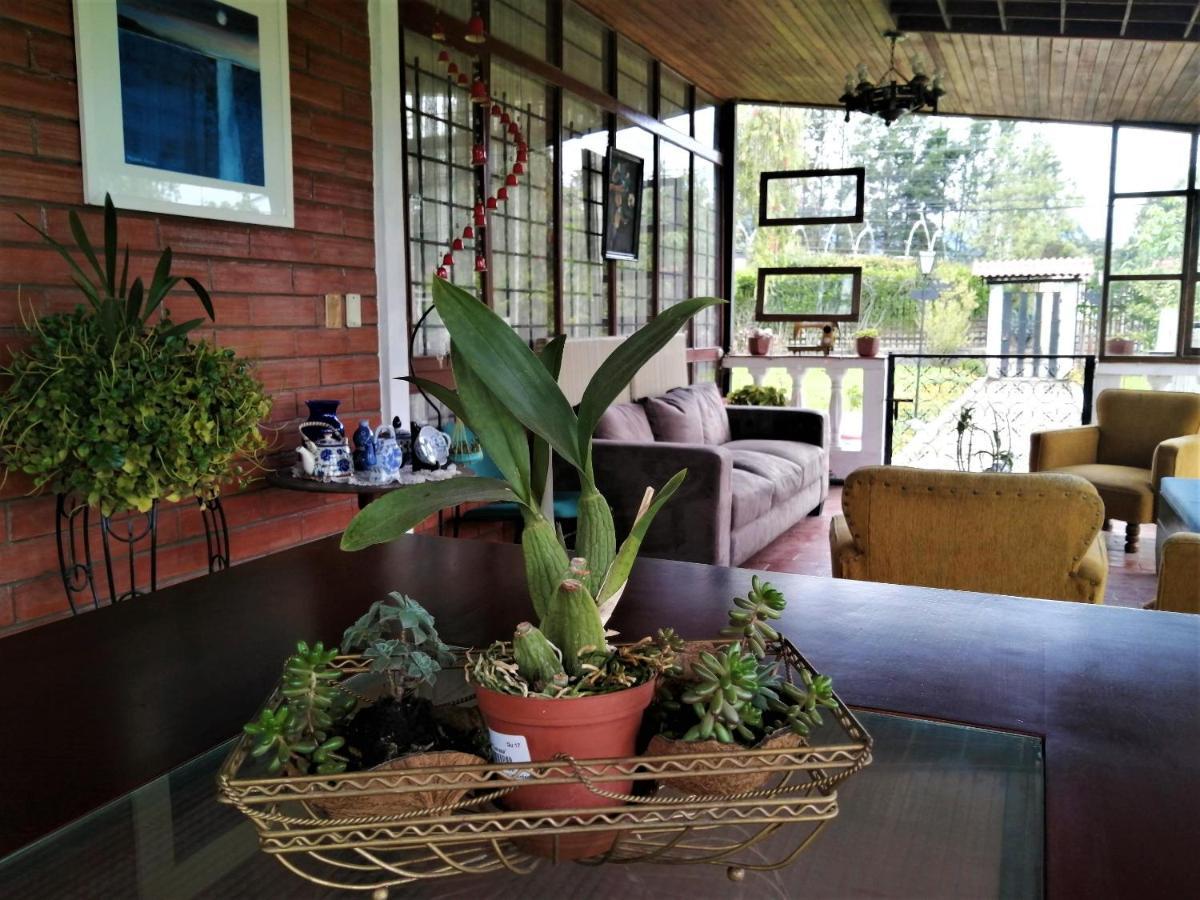Chester'S B&B Tababela Dış mekan fotoğraf
