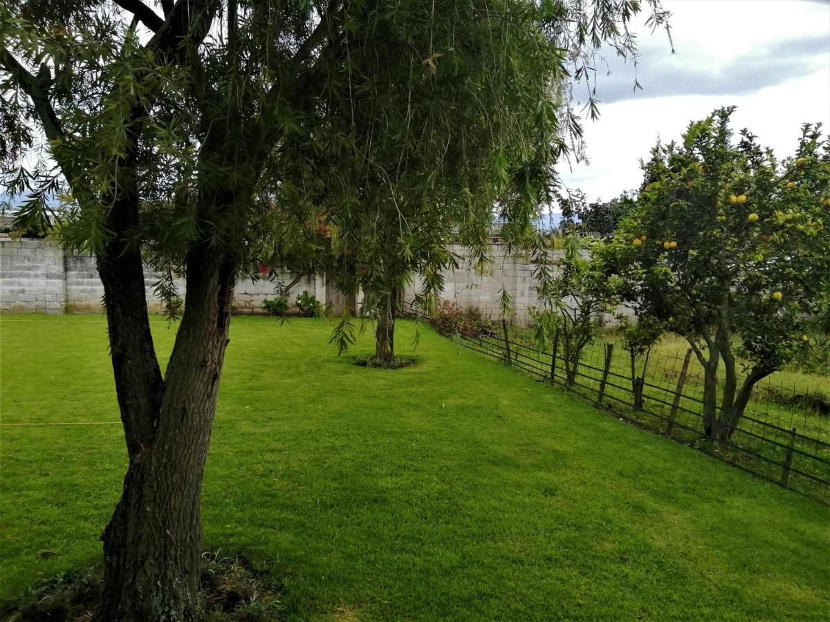 Chester'S B&B Tababela Dış mekan fotoğraf